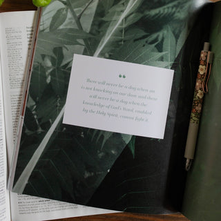 Stand Firm Armor of God Bible Study-Devotionals-The Daily Grace Co-Motis & Co Boutique, Women's Fashion Boutique in Carthage, Missouri