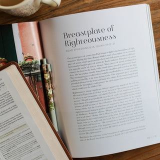 Stand Firm Armor of God Bible Study-Devotionals-The Daily Grace Co-Motis & Co Boutique, Women's Fashion Boutique in Carthage, Missouri