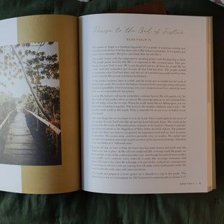 Seek 6 Week Bible Study A Walk Through Psalms 61-90-Devotionals-The Daily Grace Co-Motis & Co Boutique, Women's Fashion Boutique in Carthage, Missouri