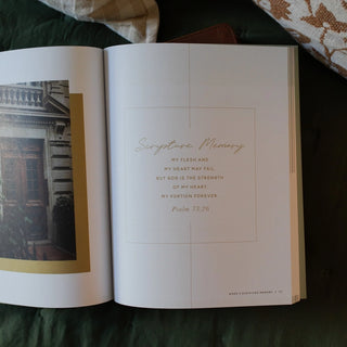 Seek 6 Week Bible Study A Walk Through Psalms 61-90-Devotionals-The Daily Grace Co-Motis & Co Boutique, Women's Fashion Boutique in Carthage, Missouri