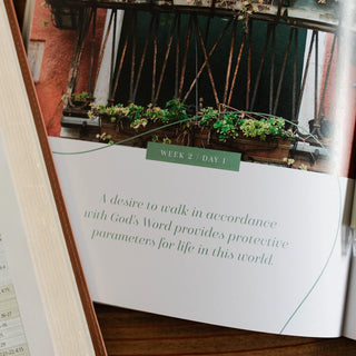 Stand Firm Armor of God Bible Study-Devotionals-The Daily Grace Co-Motis & Co Boutique, Women's Fashion Boutique in Carthage, Missouri