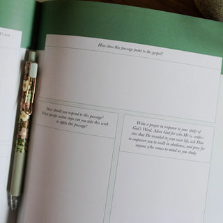 Stand Firm Armor of God Bible Study-Devotionals-The Daily Grace Co-Motis & Co Boutique, Women's Fashion Boutique in Carthage, Missouri