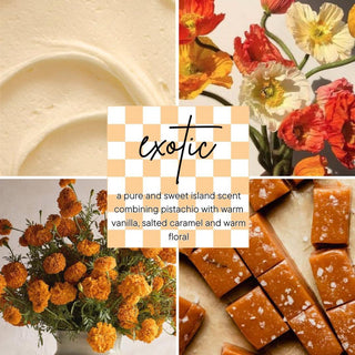 Exotic Touch and Go Hand Sanitizer Mist-Health & Beauty-TLLM-Motis & Co Boutique, Women's Fashion Boutique in Carthage, Missouri