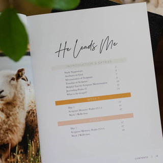 He Leads Me Psalm 23 Bible Study-Devotionals-The Daily Grace Co-Motis & Co Boutique, Women's Fashion Boutique in Carthage, Missouri