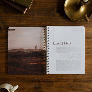 James Bible Study - The Steadfast Life-Devotionals-The Daily Grace Co-Motis & Co Boutique, Women's Fashion Boutique in Carthage, Missouri