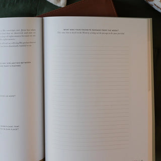Seek 6 Week Bible Study A Walk Through Psalms 61-90-Devotionals-The Daily Grace Co-Motis & Co Boutique, Women's Fashion Boutique in Carthage, Missouri
