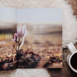 When Fear Meets Faith Bible Study-Devotionals-The Daily Grace Co-Motis & Co Boutique, Women's Fashion Boutique in Carthage, Missouri
