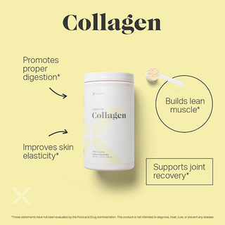 Xyngular Digestion Duo Collagen Probiotic-Supplements-Xyngular-Motis & Co Boutique, Women's Fashion Boutique in Carthage, Missouri