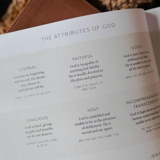 Esther Bible Study Seeing God When He Is Silent-Devotionals-The Daily Grace Co-Motis & Co Boutique, Women's Fashion Boutique in Carthage, Missouri