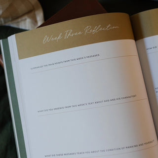 Seek 6 Week Bible Study A Walk Through Psalms 61-90-Devotionals-The Daily Grace Co-Motis & Co Boutique, Women's Fashion Boutique in Carthage, Missouri